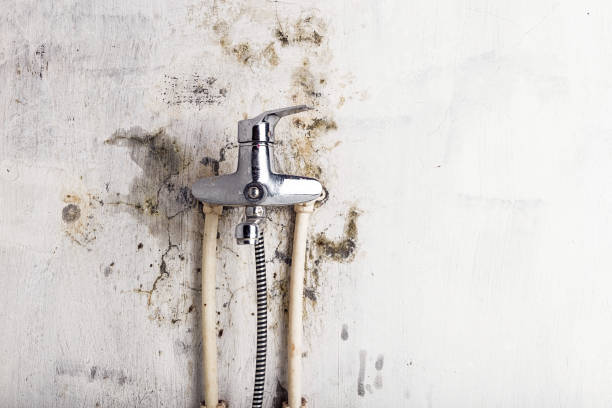 Water Damage Restoration in Helena Valley West Central, MT