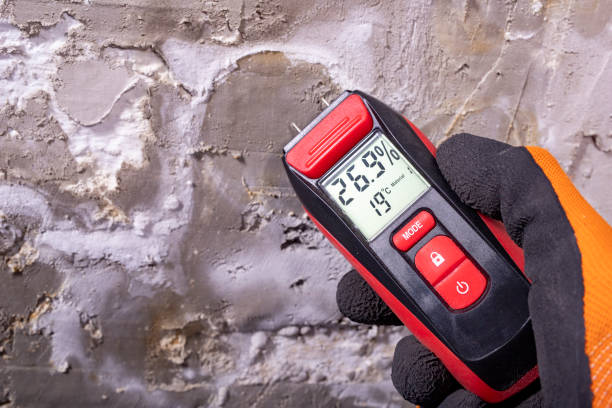 Best Mold Testing  in Helena Valley West Central, MT